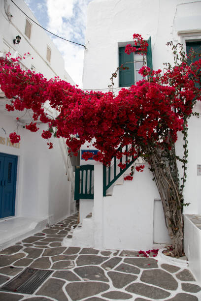 Alleys and side streets of Mykonos no people.