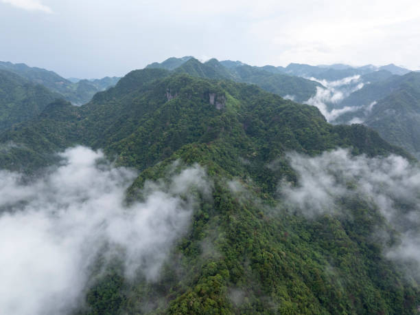 istock The post rain clouds and mist on the mountaintop of the forest 2155686166