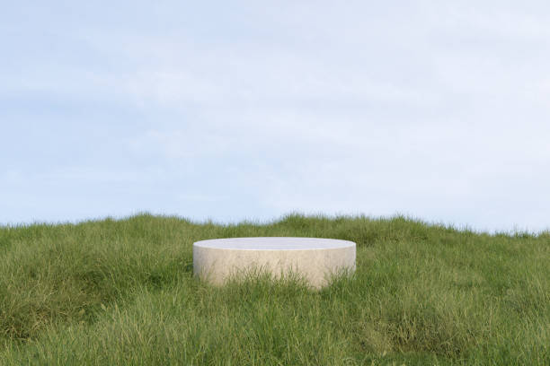 istock Abstract 3d render platform and mockup evergreen natural background, Stone podium on the grass field and meadow for product stand display, advertising or etc 2155688438