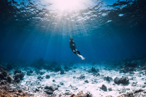 istock Freediver woman glides underwater in blue ocean with sun rays 2155692703