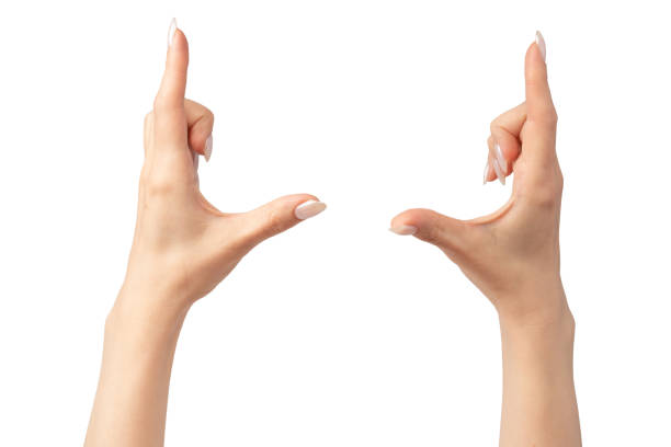 istock Woman hands  isolated on a white background. 2155694693