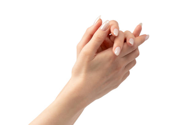 istock Woman hands  isolated on a white background. 2155694695