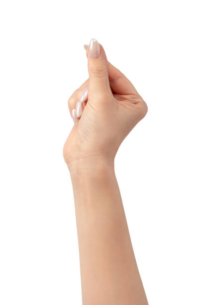 istock Woman hands  isolated on a white background. 2155694700