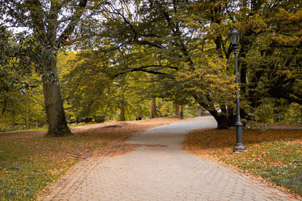 istock Serene autumn path in a park with fallen leaves and lampposts, capturing the peaceful essence of fall with vibrant yellow and orange foliage under a canopy of trees on a paved walkway. 2155695156