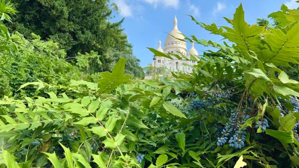 istock Sacred Heart of Montmartre 2155695242