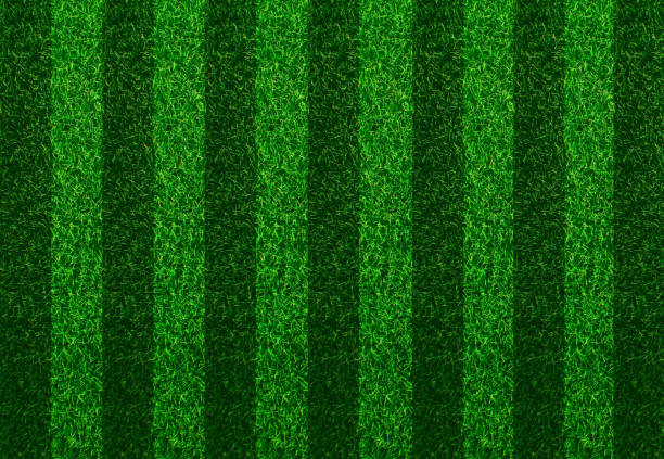 istock Green grass. Synthetic grass. Fresh green grass in spring. 2155696878