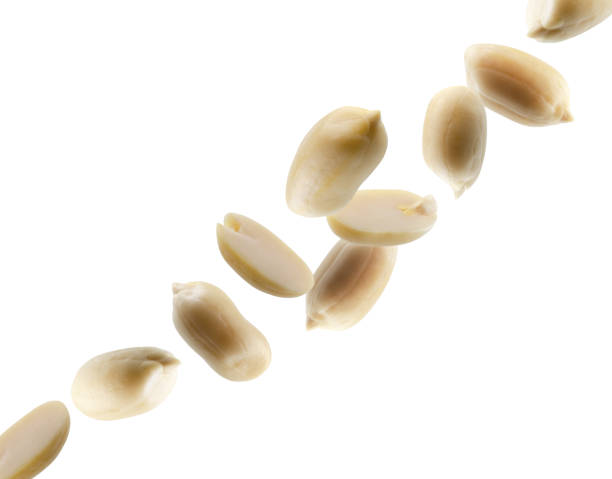 istock Shelled whole and half peanuts fly in space forming a chain shape. Volumetric back light. Isolated on white 2155698063