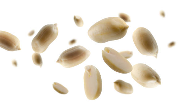 Shelled whole and half peanuts fly and levitate in space. Volumetric back light. Isolated on white