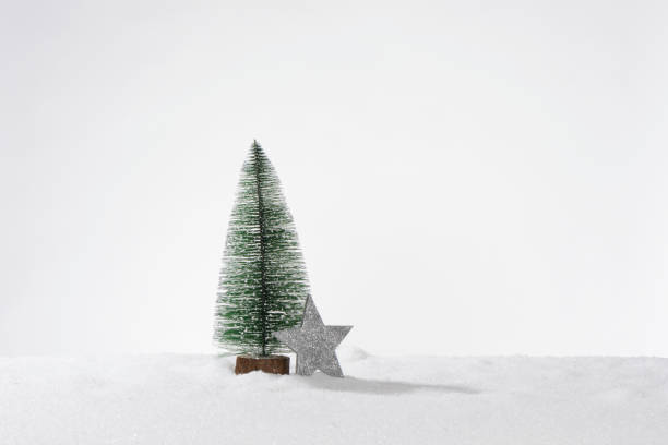 Decorative artificial christmas tree in artificial snow and one gray star, composition as a card or banner