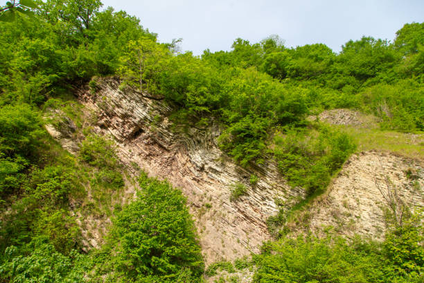 istock Mountain rocks in green vegetation as a background. Texture 2155705109