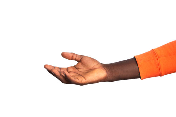 human hand macro