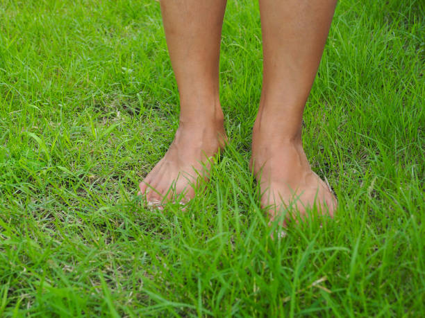 istock Barefoot walking on the grass Relaxing closeness with nature 2155709826