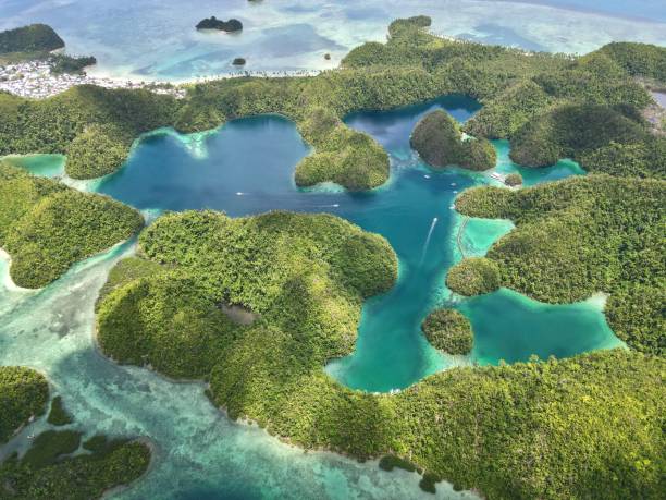 Drone shot of Sugba Lagoon, Siargao, Philippines