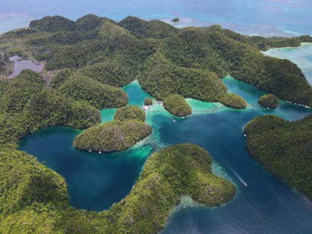 istock Drone shot of Sugba Lagoon, Siargao, Philippines 2155710414