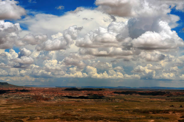 istock Alien Landscape Petrified Forest National Park Arizona 2155710944
