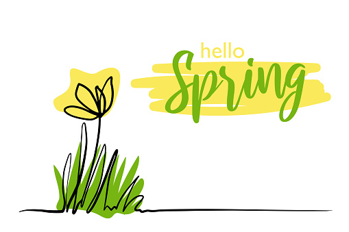 Hello Spring Line Drawing Hello Spring Flower In Continuous Line Art Drawing Style Doodle Floral ...