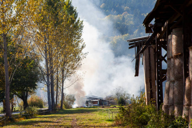 Large blaze at burning industrial building.