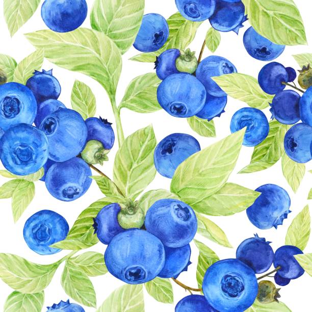 istock Blueberry watercolor pattern. Seamless pattern of ripe berries on a white background. Botanical hand drawn illustration for fabric, textile, wallpaper, wrapping paper. 2155717516