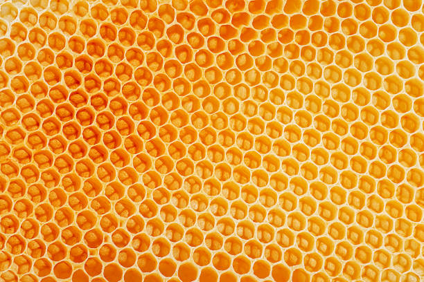 istock Wax honeycombs as background. Texture of empty honeycombs. 2155717606