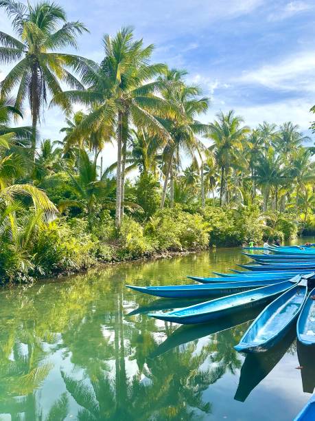 istock Kayaks in Maasin River, Siargao, Philippines 2155718459