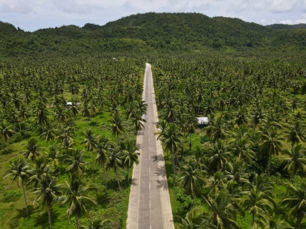 istock Famous Coconut Road in Siargao, Philippines 2155718465