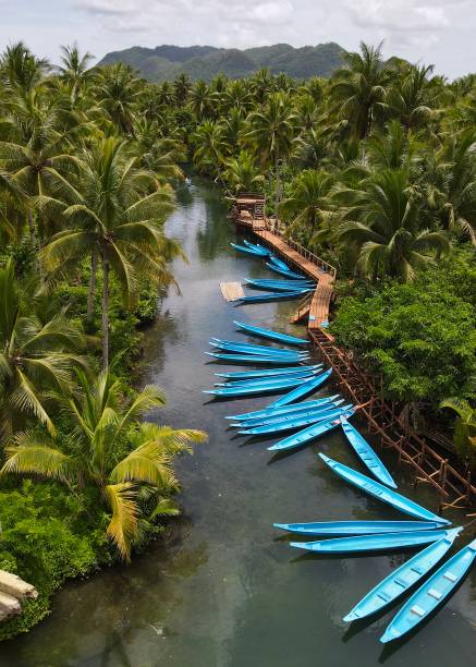 Kayaks in Maasin River, Siargao, Philippines