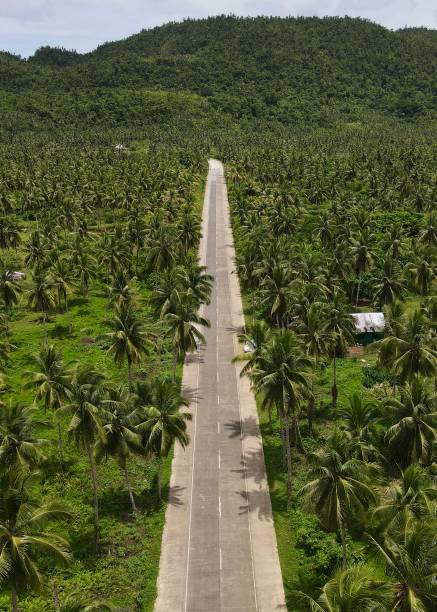 istock Famous Coconut Road in Siargao, Philippines 2155718477