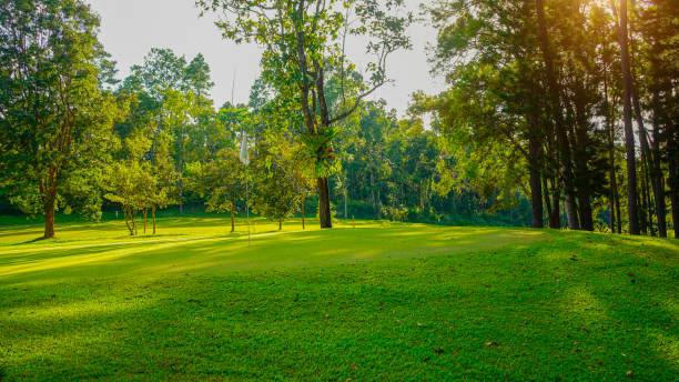 istock Green grass and woods on a golf field. 2155719103