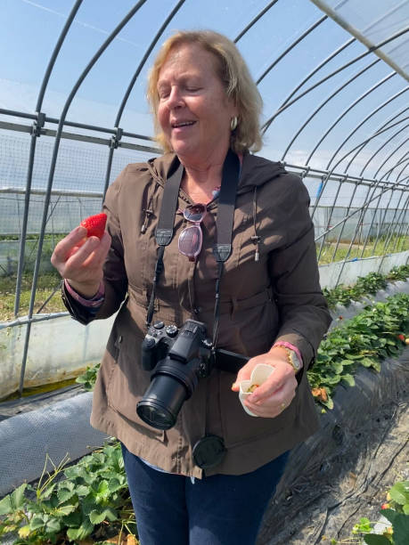 istock Beautiful strawberry at Oyama 2155720712