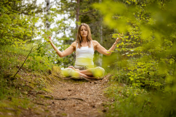istock Tranquil Woodland Meditation 2155723527