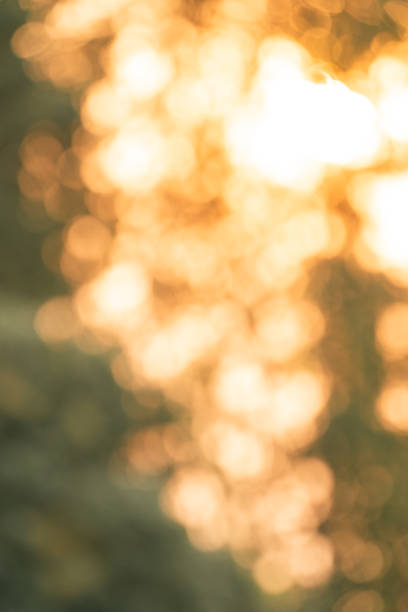 istock Sunlight Filters Through Green Leaves in a Forest: A Natural, Blurry Bokeh Background Highlights the Bright, Abstract Beauty of Sunlit Foliage on a Summer Day, Emphasizing Earth's Vibrant Colour 2155724728