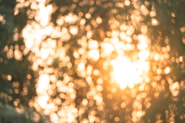 istock Sunlight Filters Through Green Leaves in a Forest: A Natural, Blurry Bokeh Background Highlights the Bright, Abstract Beauty of Sunlit Foliage on a Summer Day, Emphasizing Earth's Vibrant Colour 2155724729