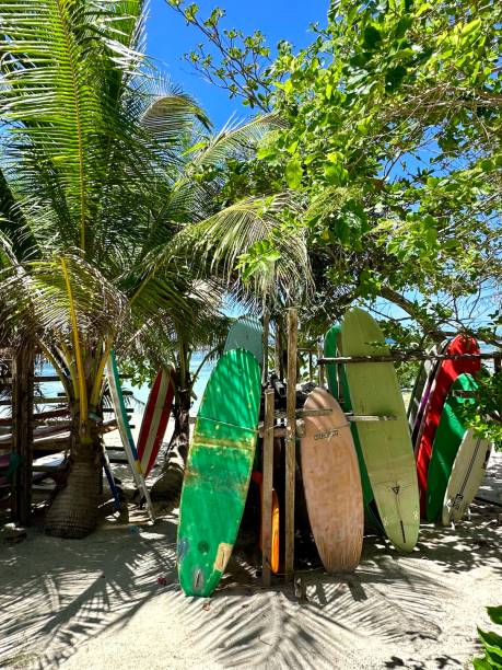 Surfboards at Cloud 9, Siargao, Philippines