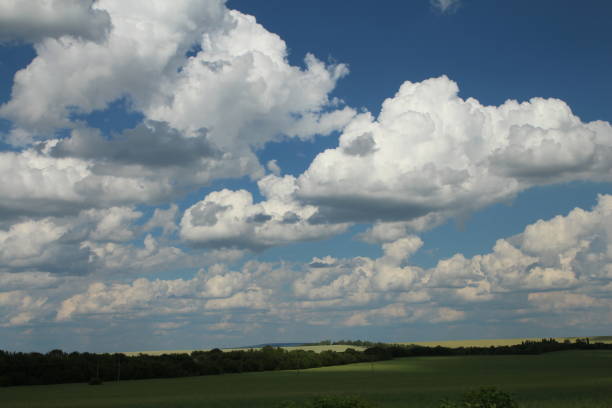 istock A grassy field with trees and clouds in the background 2155734215