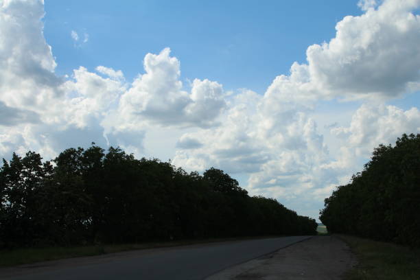 istock A road with trees and blue sky 2155734228
