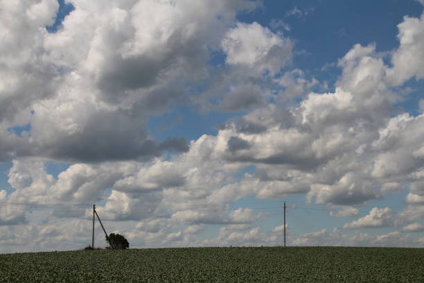 A grassy field with poles and poles. Sky. Outdoor. Cloudy. Clouds. Day