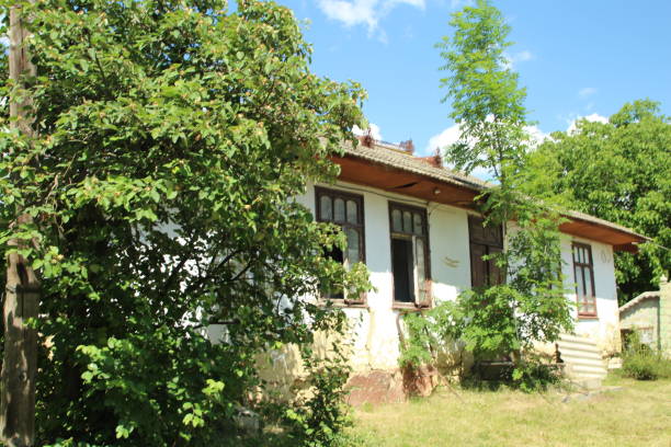 istock A house with trees and bushes 2155734249