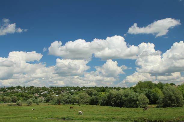 Summer Landscape in Ouse Valley Park, UK