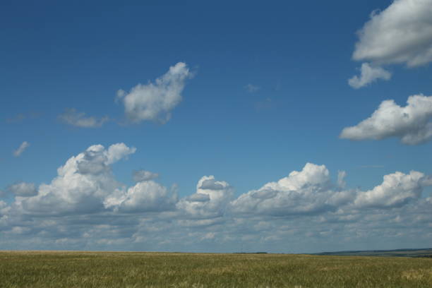 istock A grassy field with clouds in the sky 2155734371