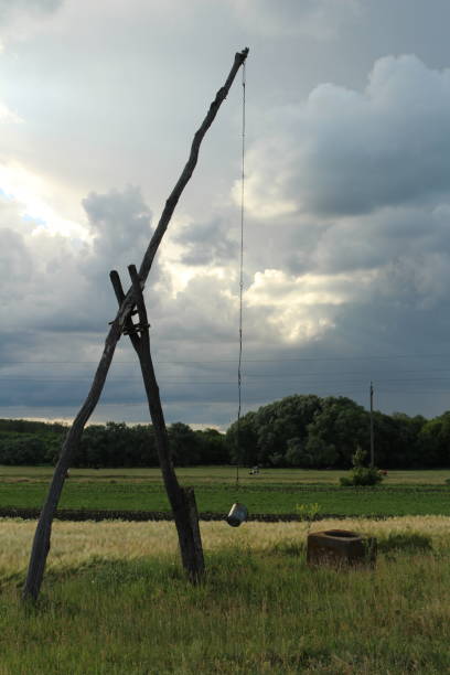 istock A telephone pole in a field 2155735246