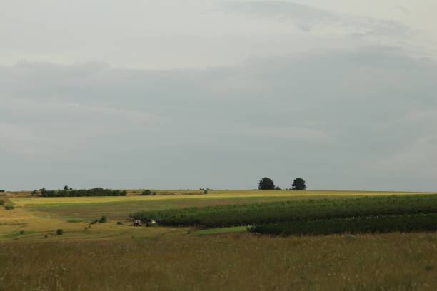 istock A field of green grass 2155735552