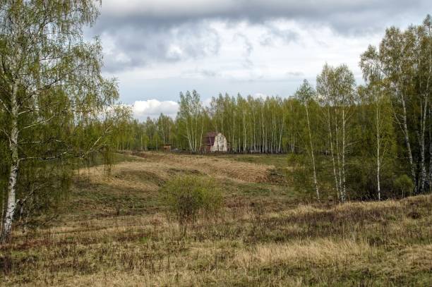 istock Small grove in the countryside in spring 2155737286