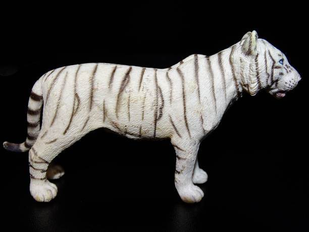 istock White tiger toy on a black background 2155740509
