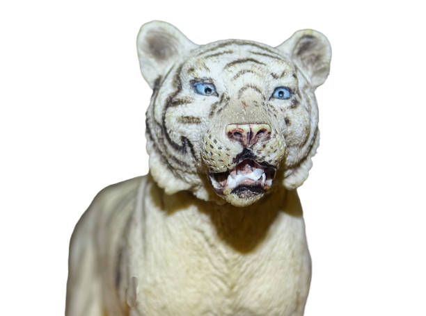 istock White tiger toy portrait. Tiger toy 2155740511