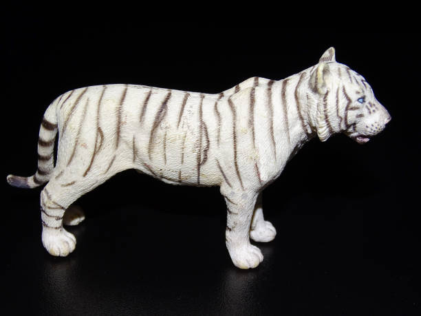istock White tiger toy on a black background 2155740535
