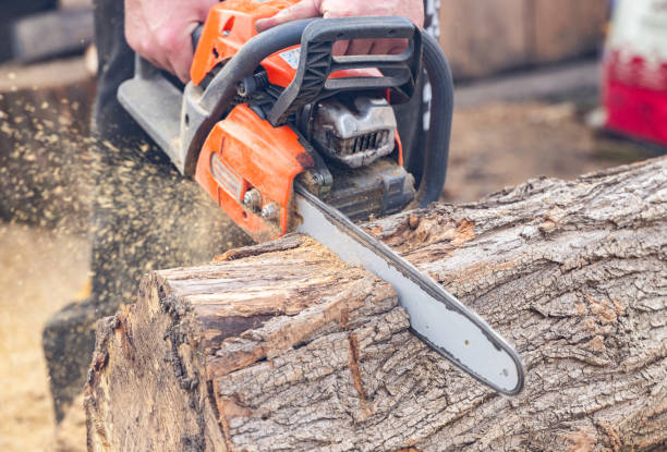 istock cutting wood with a saw 2155743664