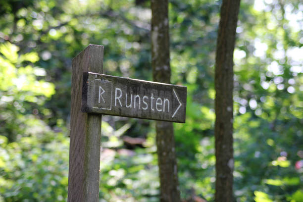 istock A Swedish sigh in the forest showing that there is a runsten close by 2155744324
