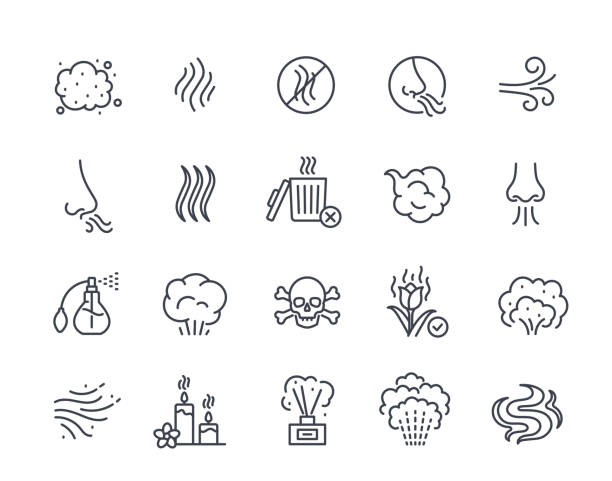 Smell linear icons set. Simple symbols associated with offensive odor, pleasant aroma and olfactory senses. Element with editable stroke. Outline flat vector collection isolated on white Smell linear icons set. Simple symbols associated with offensive odor, pleasant aroma and olfactory senses. Element with editable stroke. Outline flat vector collection isolated on white background scented stock illustrations