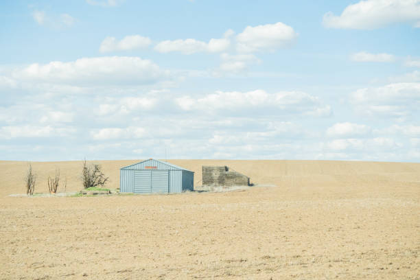 Abandoned house in a dry straw field