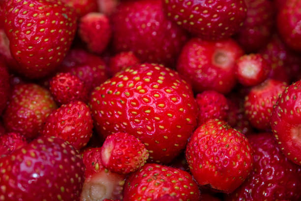 wild strawberries collected in the forest